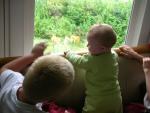 DSCN6632.JPG