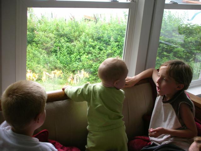 DSCN6633.JPG