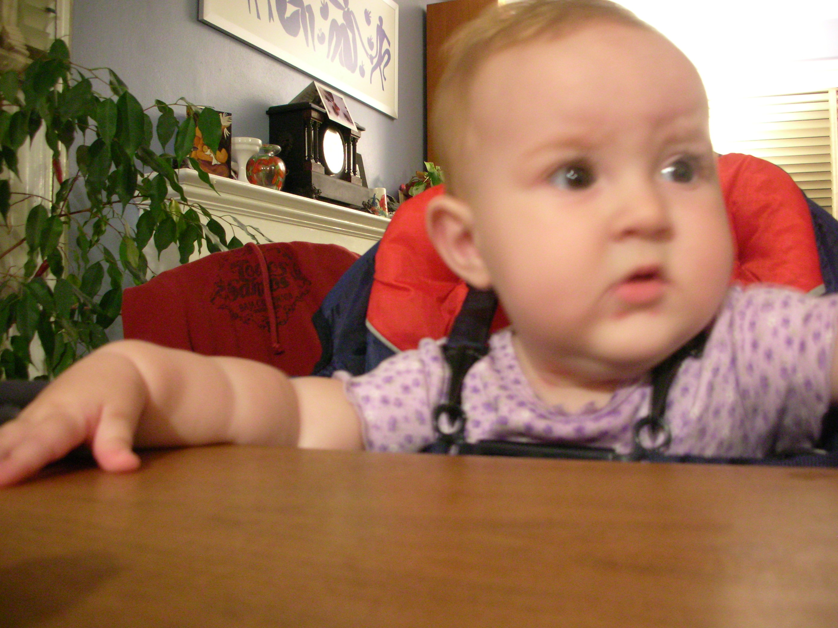 DSCN6659.JPG