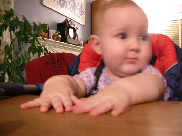 DSCN6662.JPG