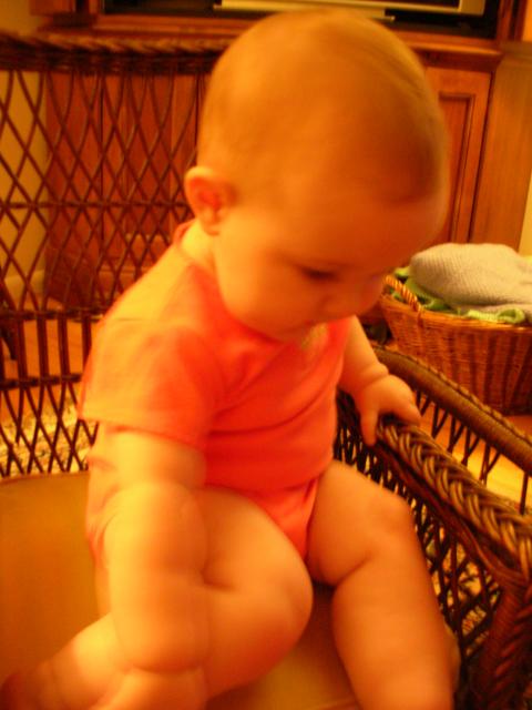 DSCN6675.JPG