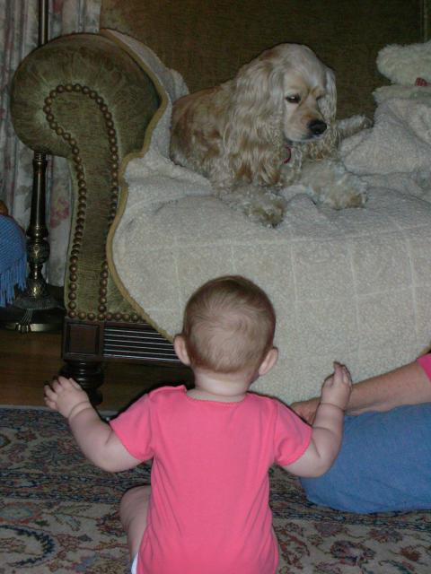 DSCN6684.JPG