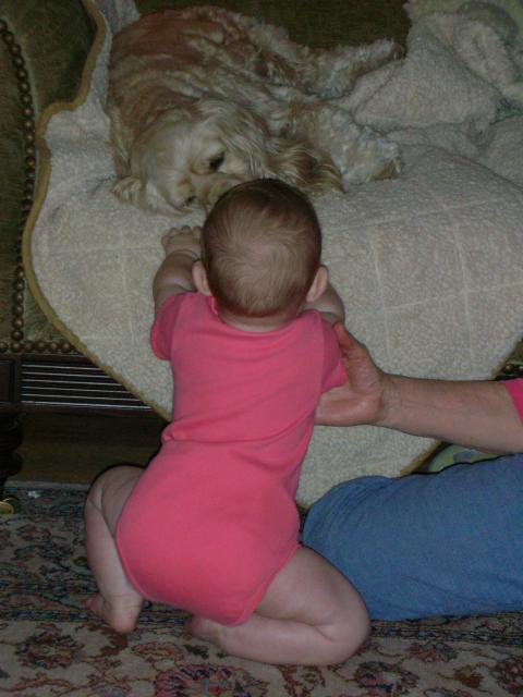 DSCN6685.JPG