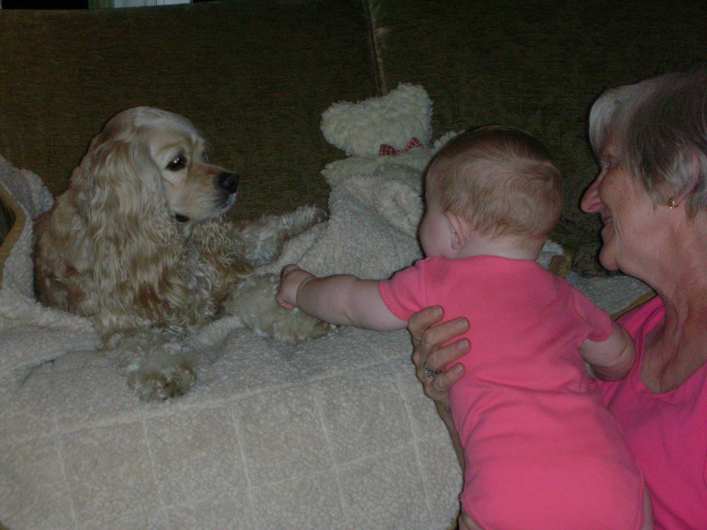 DSCN6686.JPG