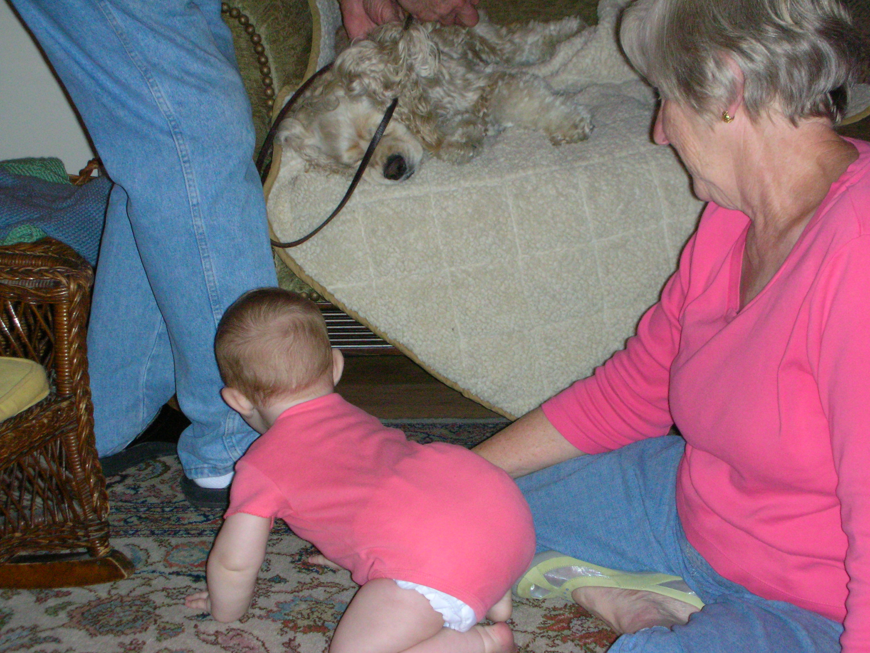 DSCN6687.JPG