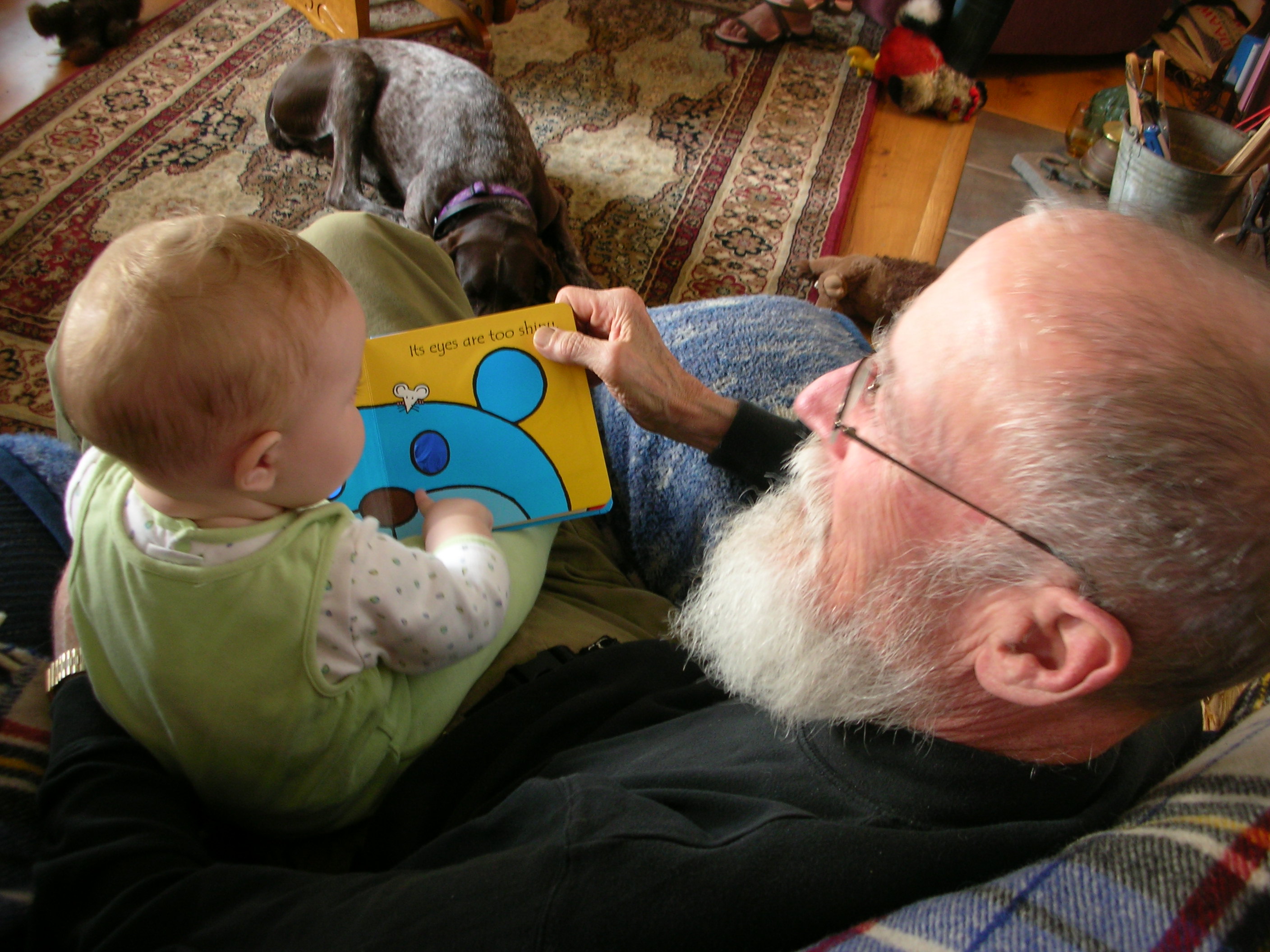 DSCN6728.JPG