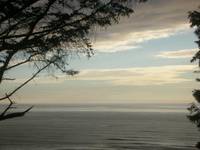 DSCN6763.JPG