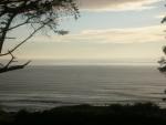 DSCN6767.JPG