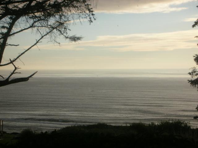 DSCN6767.JPG