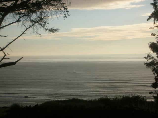 DSCN6768.JPG
