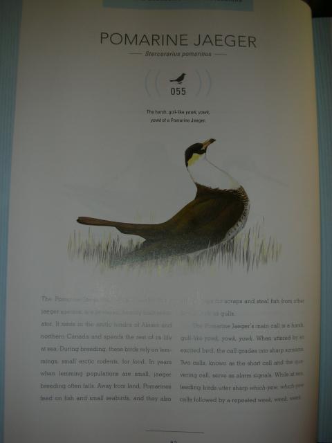 DSCN6769.JPG