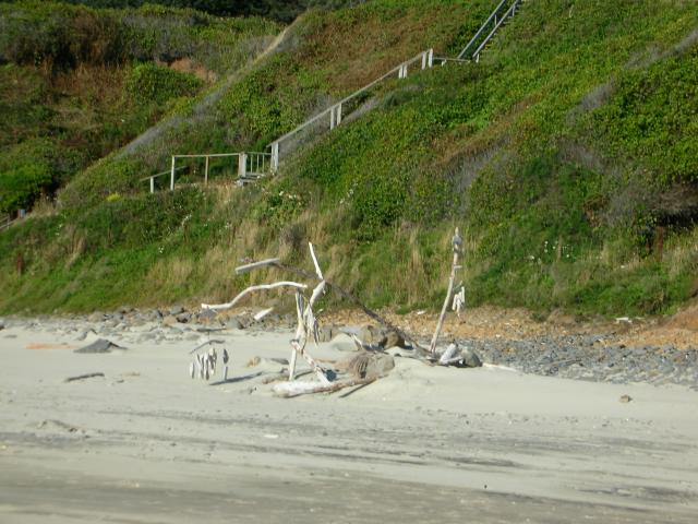 DSCN6843.JPG