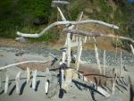 DSCN6847.JPG