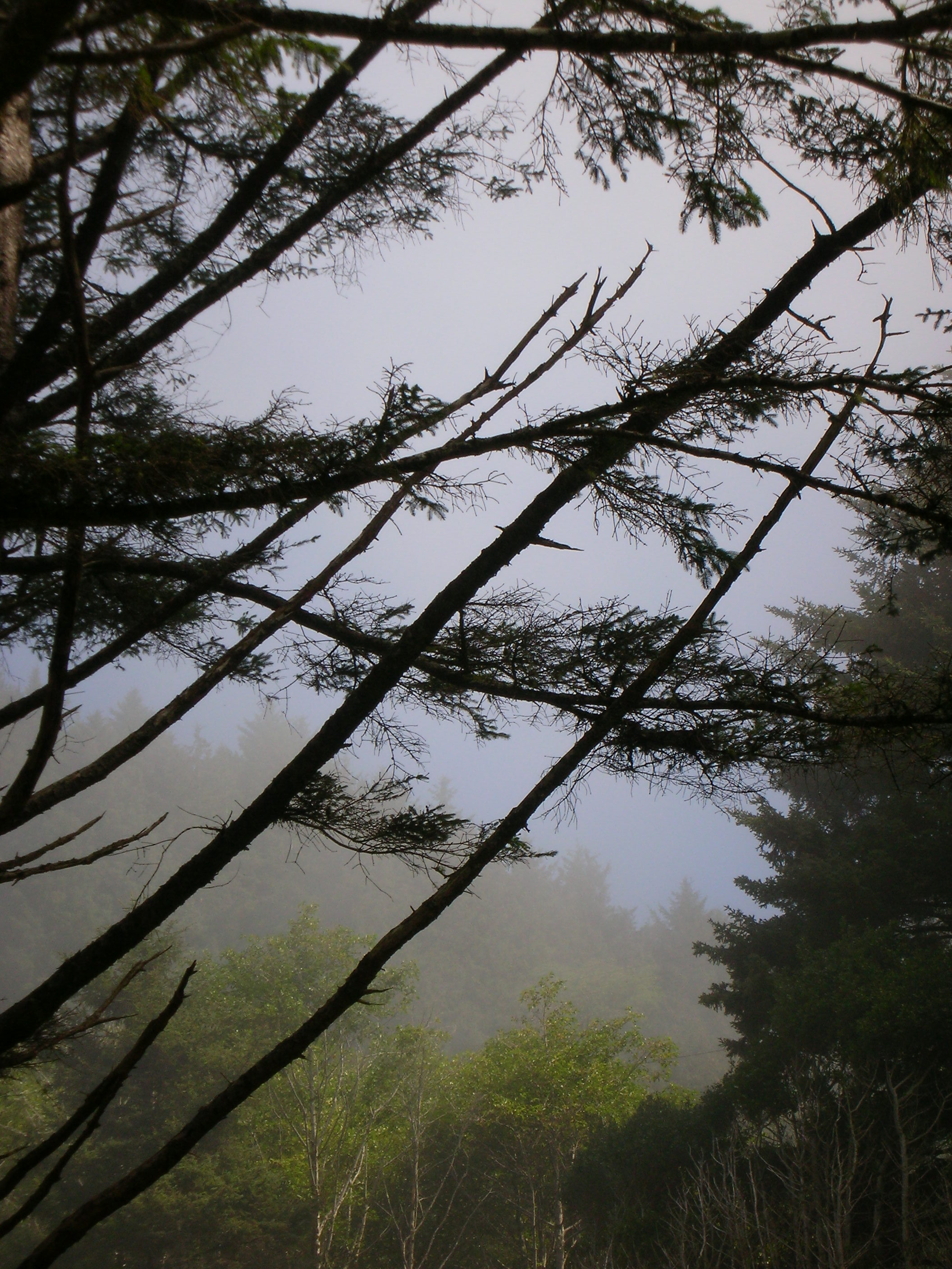 DSCN6867.JPG