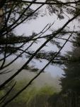 DSCN6867.JPG