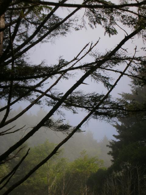 DSCN6867.JPG