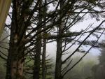 DSCN6871.JPG