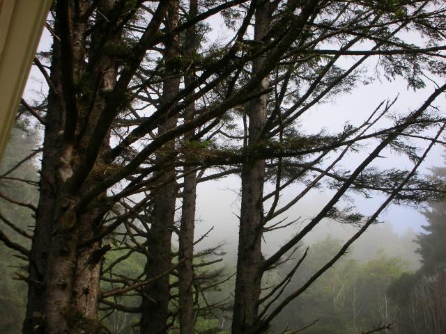 DSCN6871.JPG