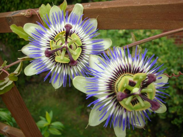 DSCN7125.JPG