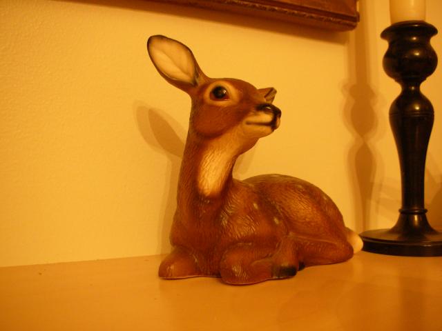 DSCN7147.JPG