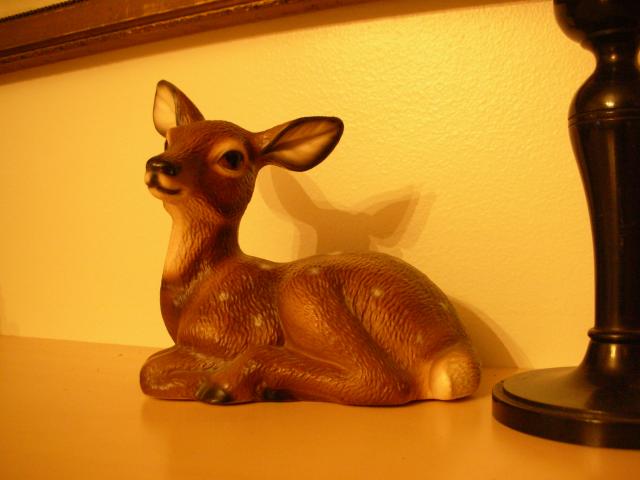 DSCN7148.JPG