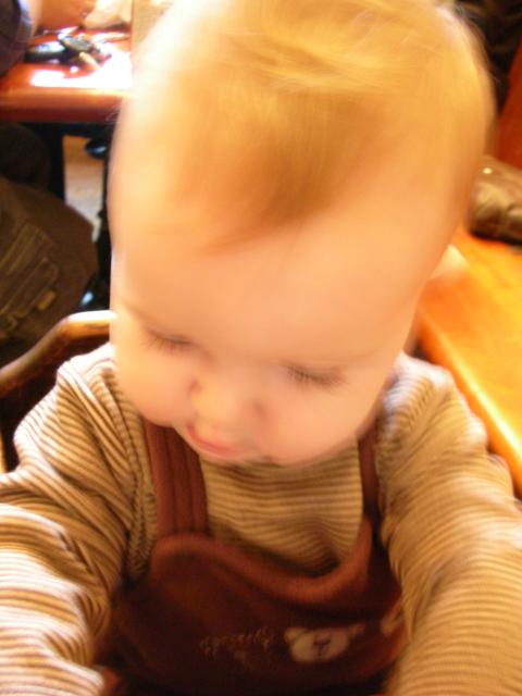 DSCN7155.JPG