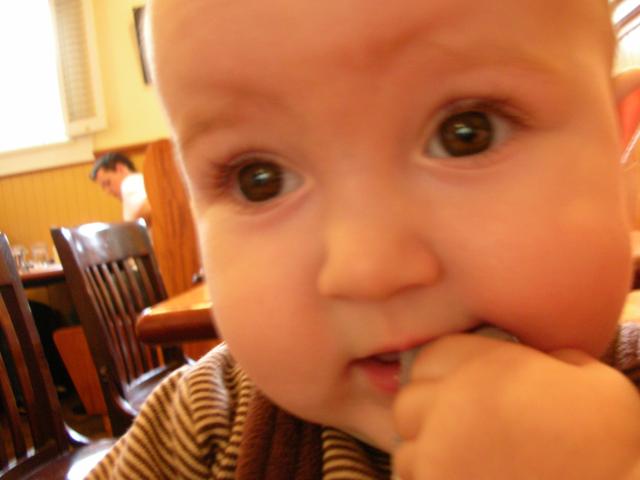 DSCN7167.JPG