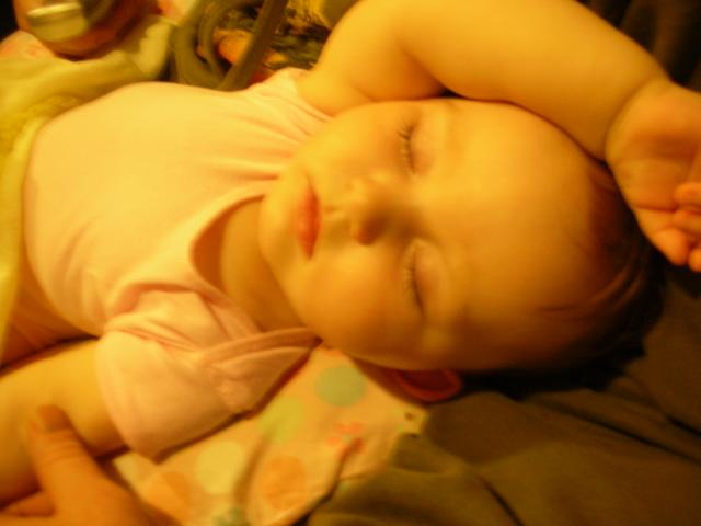 DSCN7175.JPG