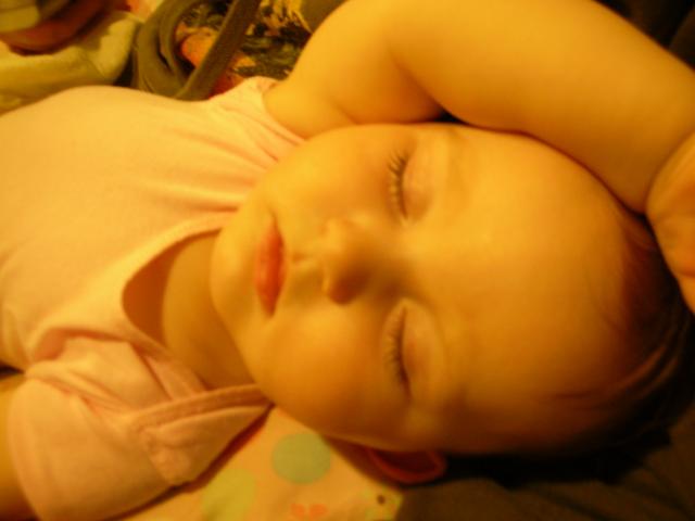 DSCN7176.JPG