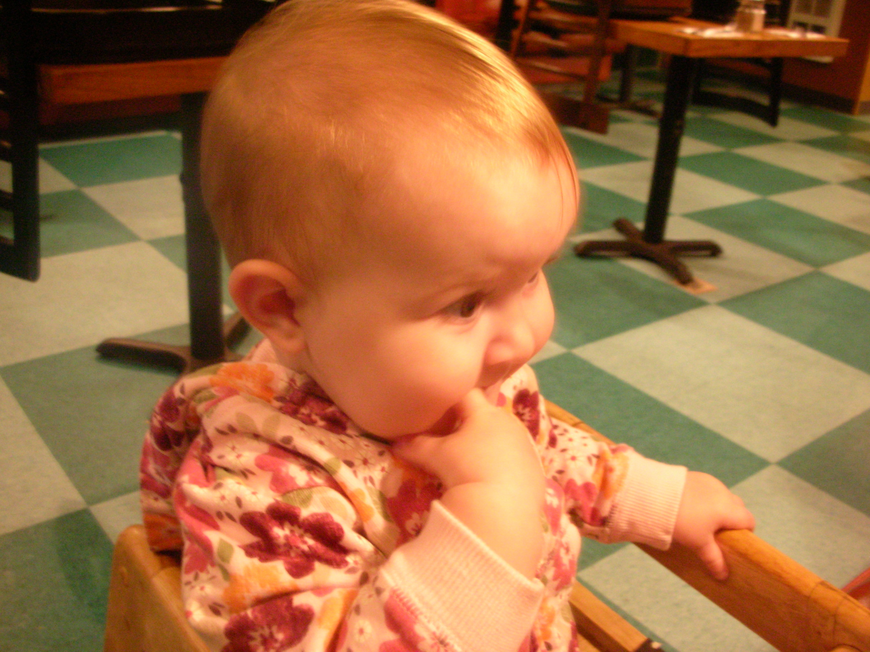 DSCN7195.JPG