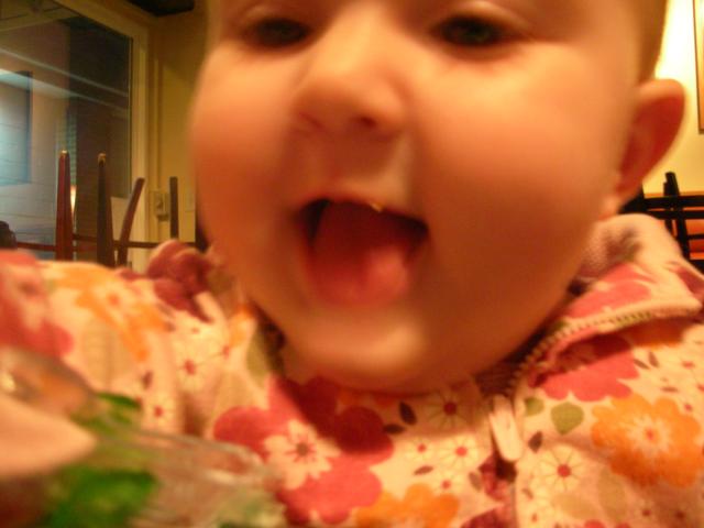 DSCN7207.JPG