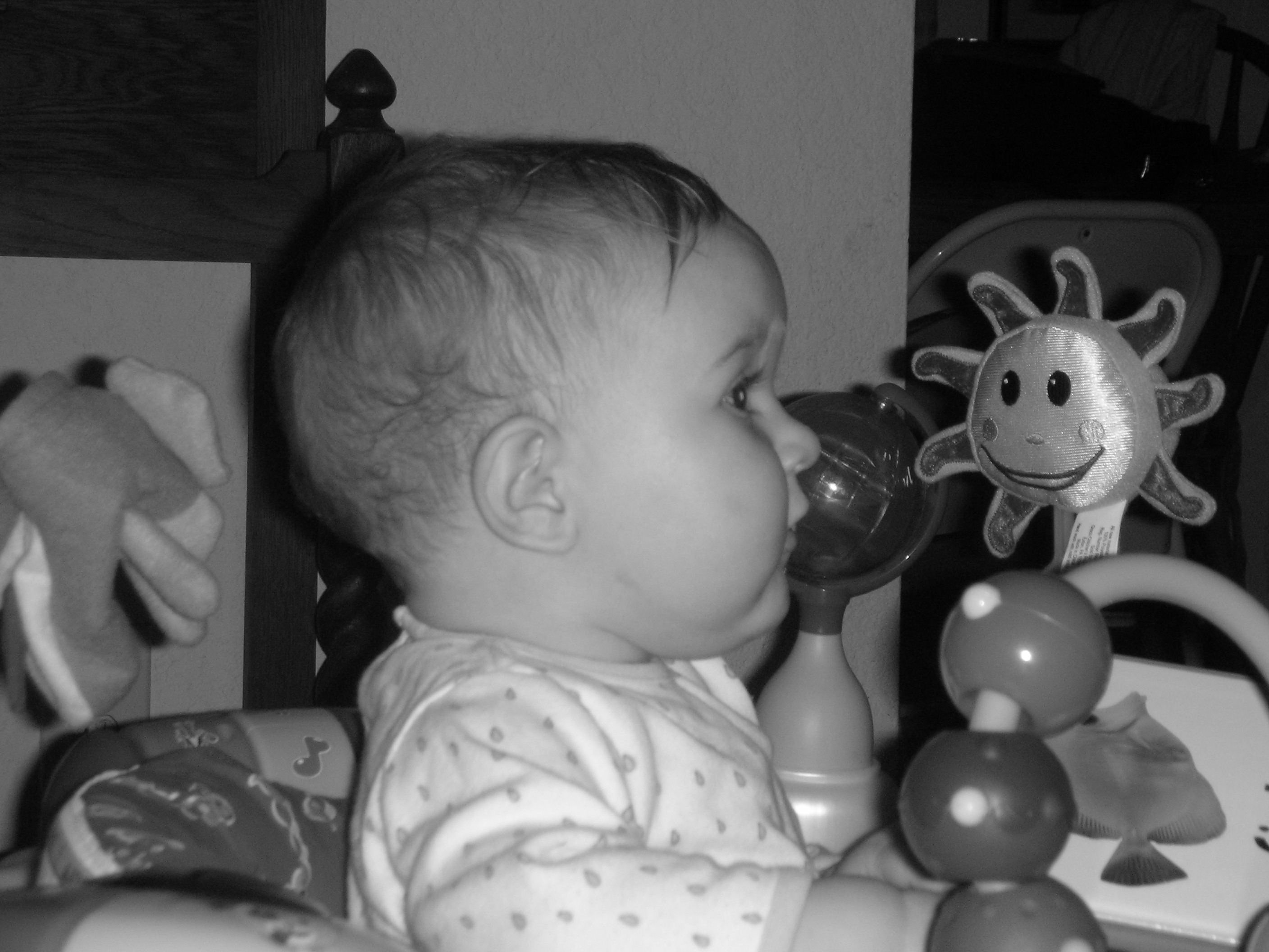 DSCN7230.JPG