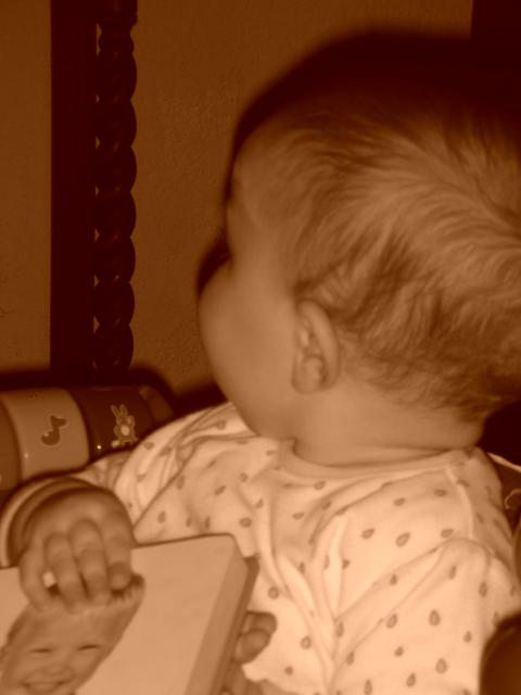 DSCN7231.JPG