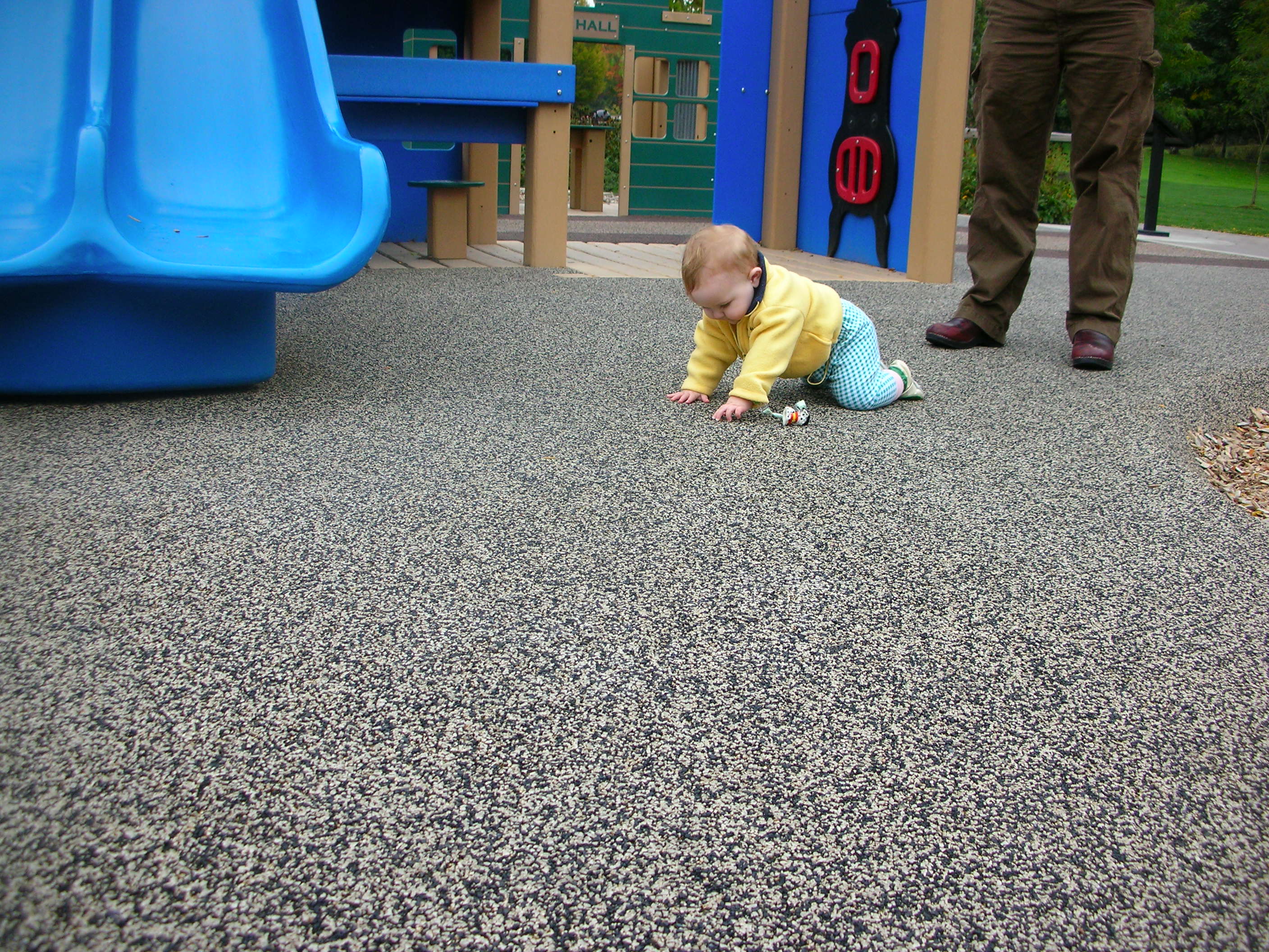 DSCN7281.JPG