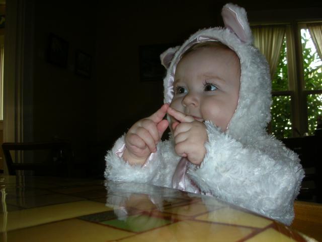 DSCN7403.JPG
