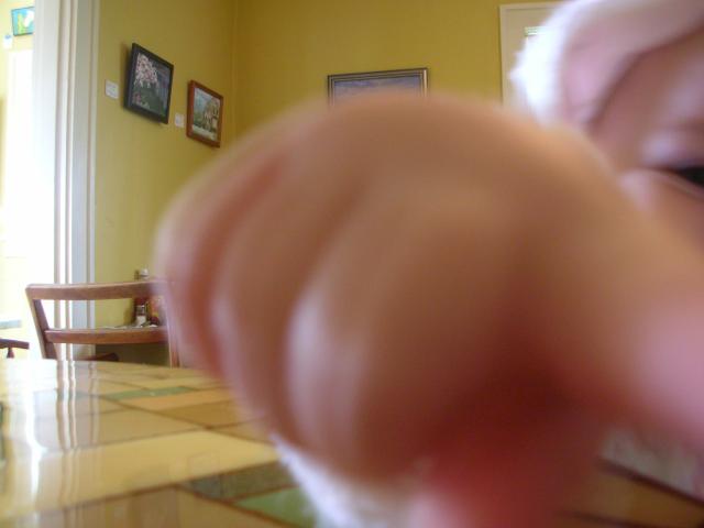 DSCN7404.JPG