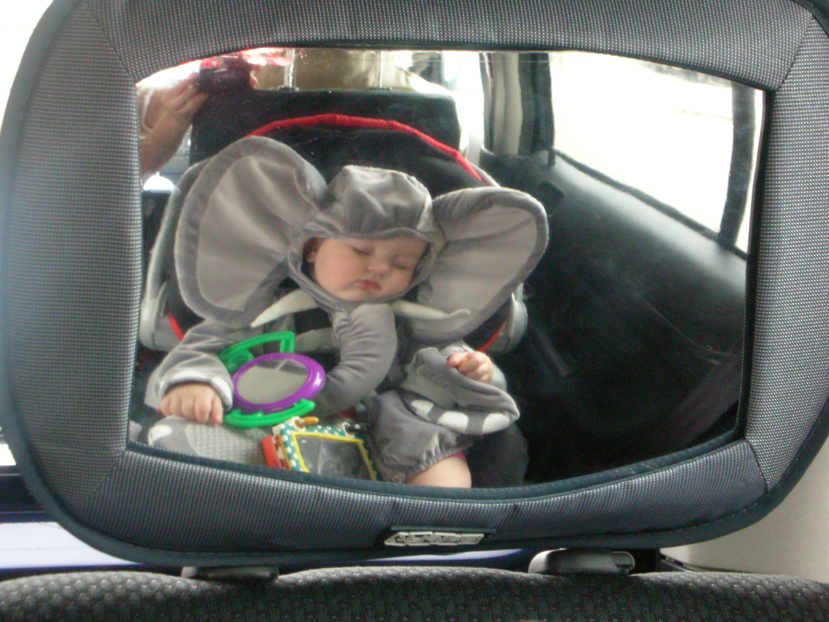 DSCN7414.JPG