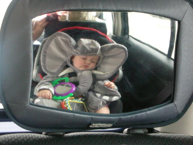 DSCN7414.JPG