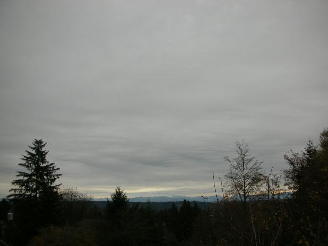 DSCN7422.JPG
