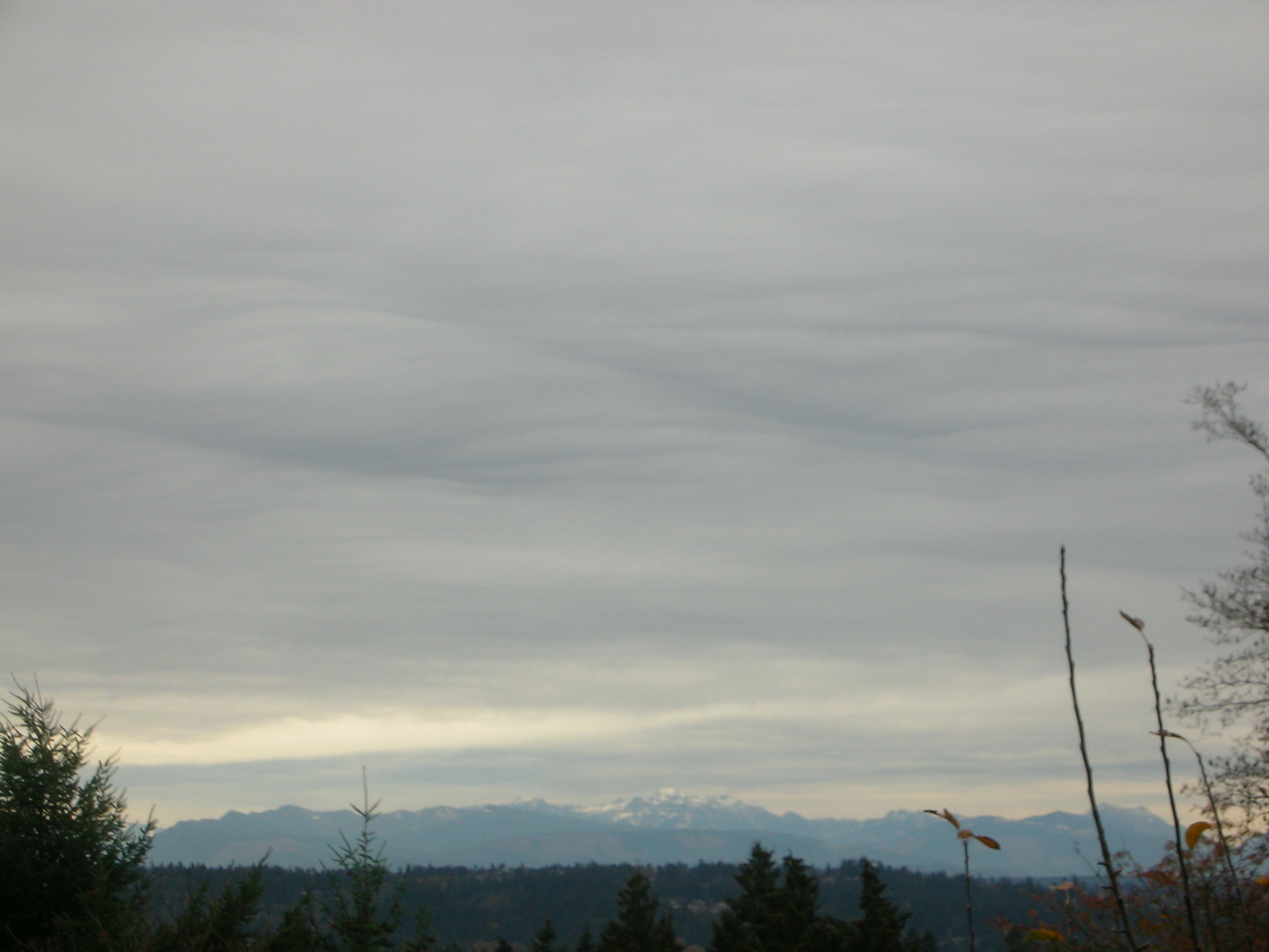 DSCN7423.JPG