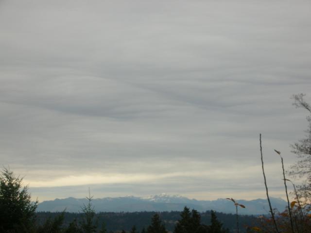 DSCN7423.JPG
