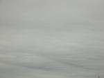 DSCN7424.JPG