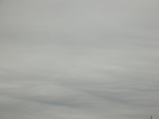 DSCN7424.JPG