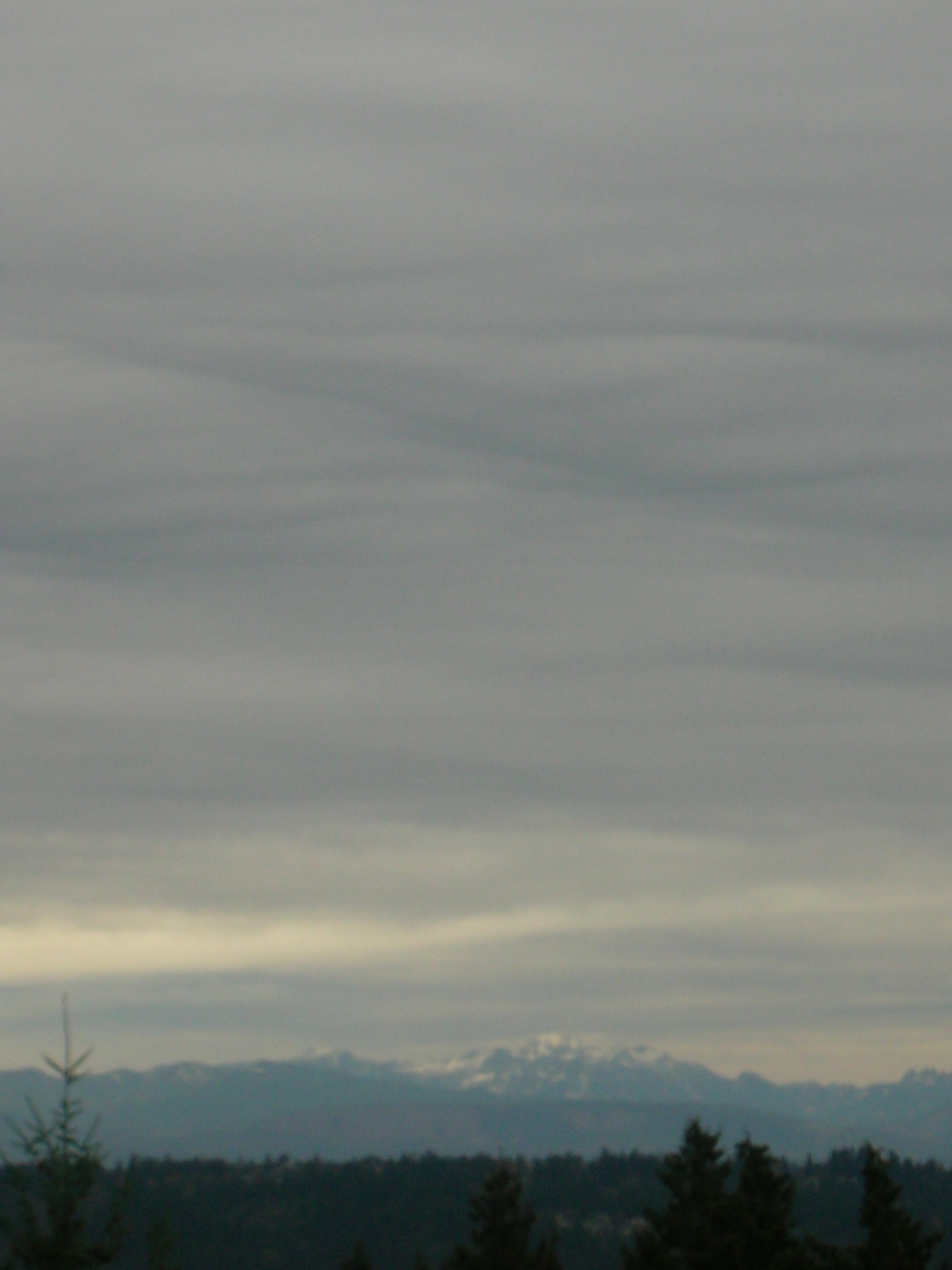 DSCN7425.JPG