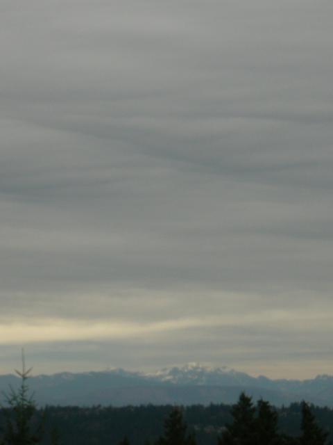 DSCN7425.JPG
