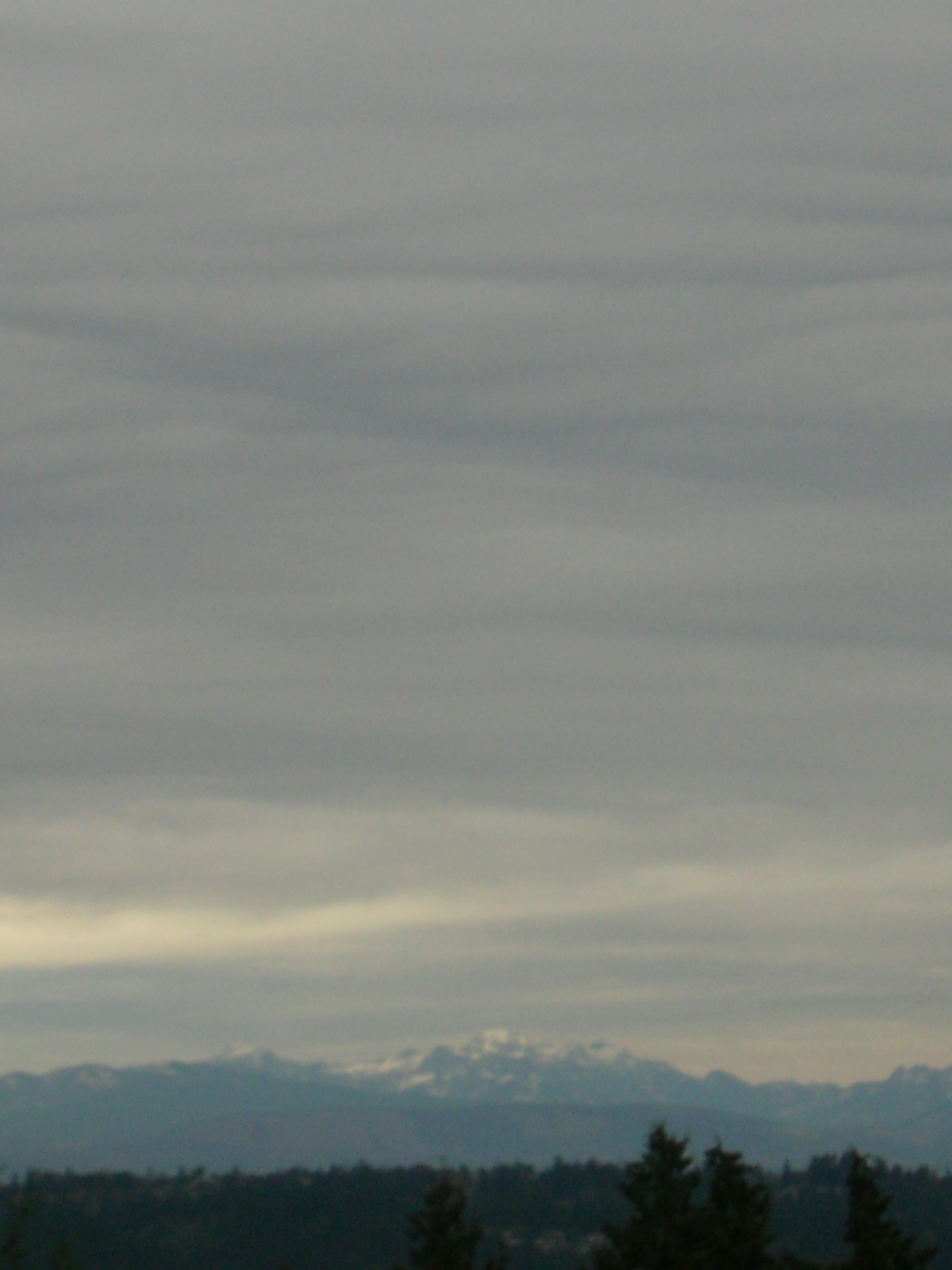 DSCN7426.JPG