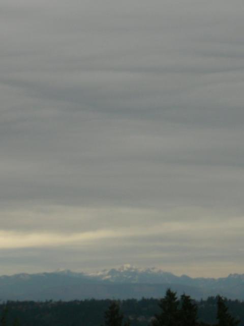 DSCN7426.JPG