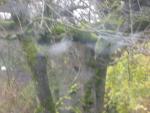DSCN7427.JPG