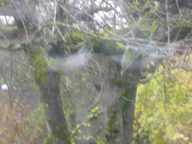 DSCN7427.JPG