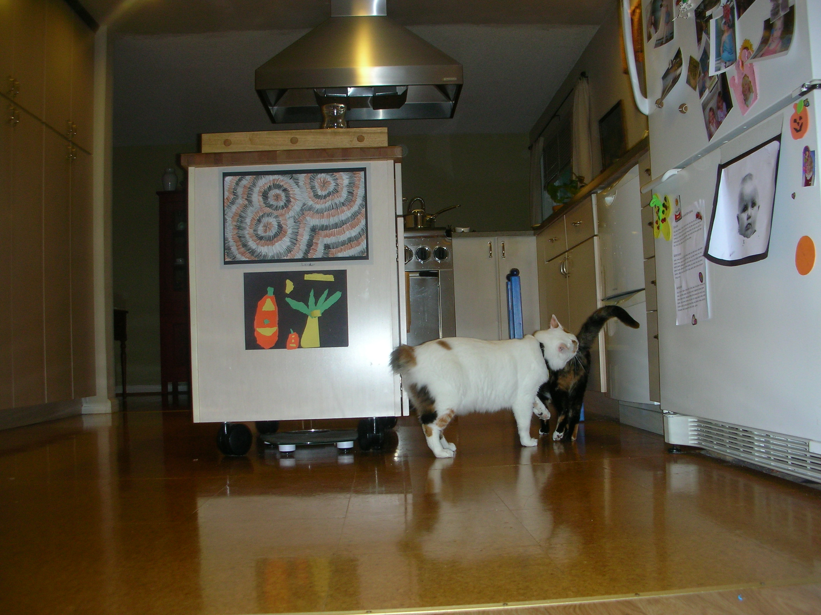 DSCN7437.JPG